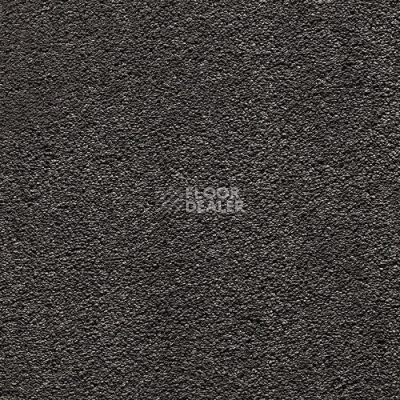 Ковровая плитка LCT Primrose Primrose sqr zde 3 097 фото 1 | FLOORDEALER